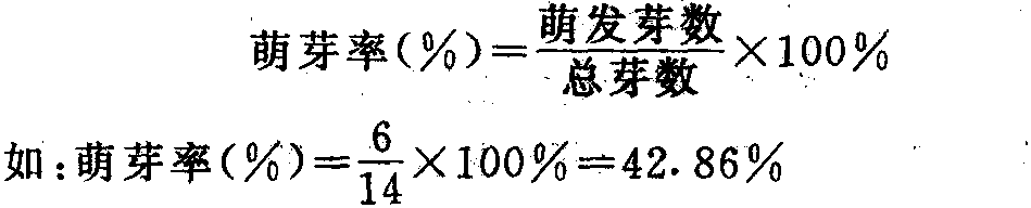 枝條的類型和特性